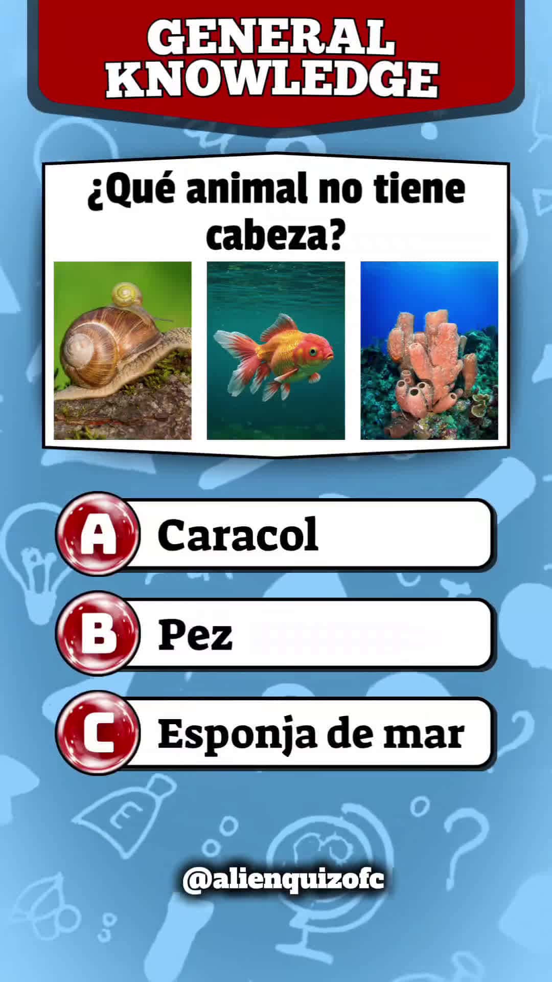 Cover for GENERAL KNOWLEDGE QUIZ! #quiz #eua #lernenmittiktok #generalknowledge #preguntasyrespuestas #knowledge #trivia