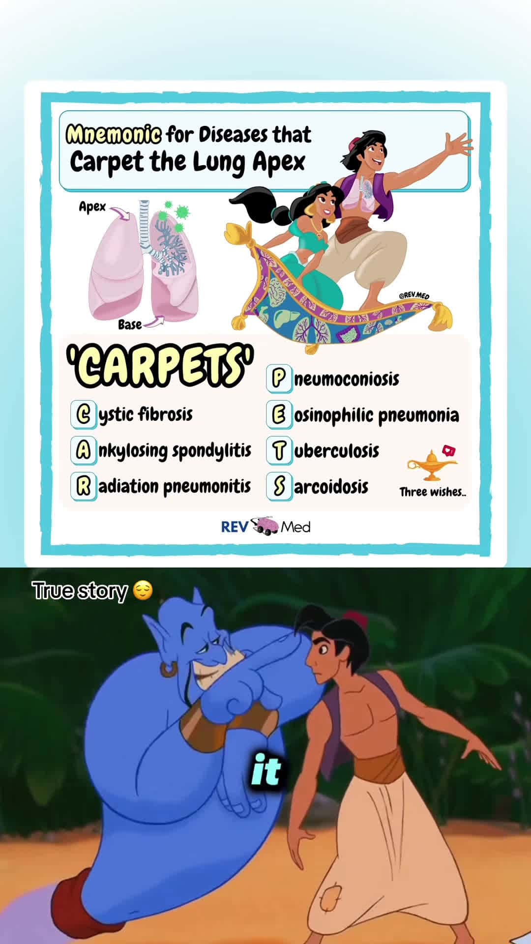 Cover for I guess genie doesn’t grant love… find another mnemonic on Apical Lung Fibrosis below 🫁   💭 Not following this page will lead to major regret & anxiety on exam day… “I wish I had followed @rev.med … I could’ve used that mnemonic!”  It’s a common regret people have… believe me. 🤓 ✅ Mnemonics  Apical Lung Fibrosis 🫁 ‘THE SCARS’ …think about Scar from the Lion King and his sharp nails at the top (apical) of his paws.  T: Tuberculosis H: Histoplasmosis, HSP E: Extrinsic allergic alveolitis  S: S