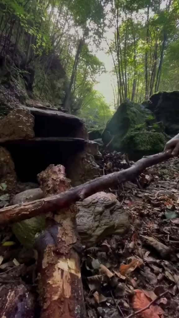 Cover for I made my own large sausage pizza in the forest then grilled it on a natural charcoal stov 67179 #nicevideo