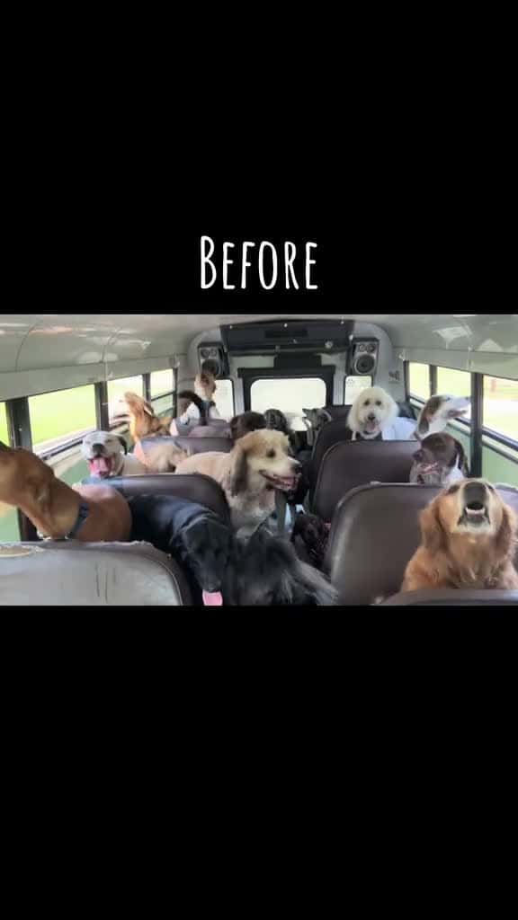 Cover for 🚐🐾 created by K9 Konvoy with K9 Konvoy’s original sound