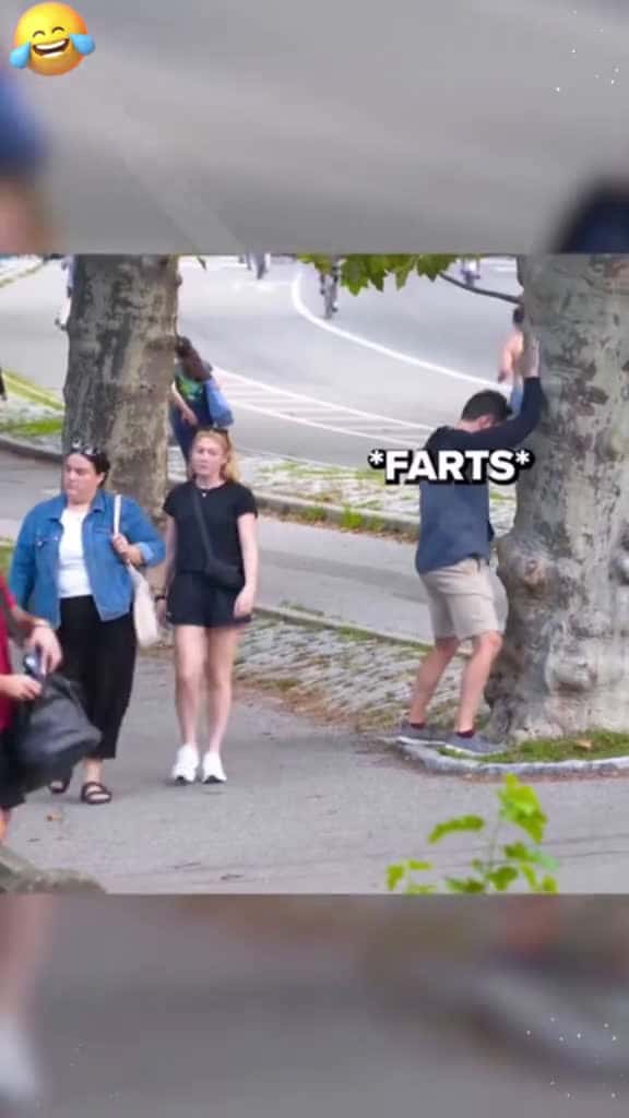 Cover for Hilarious fart prank fyp funny Foryou tiktok prank funnyvideos funnytiktok fart 81086 #shortvideos