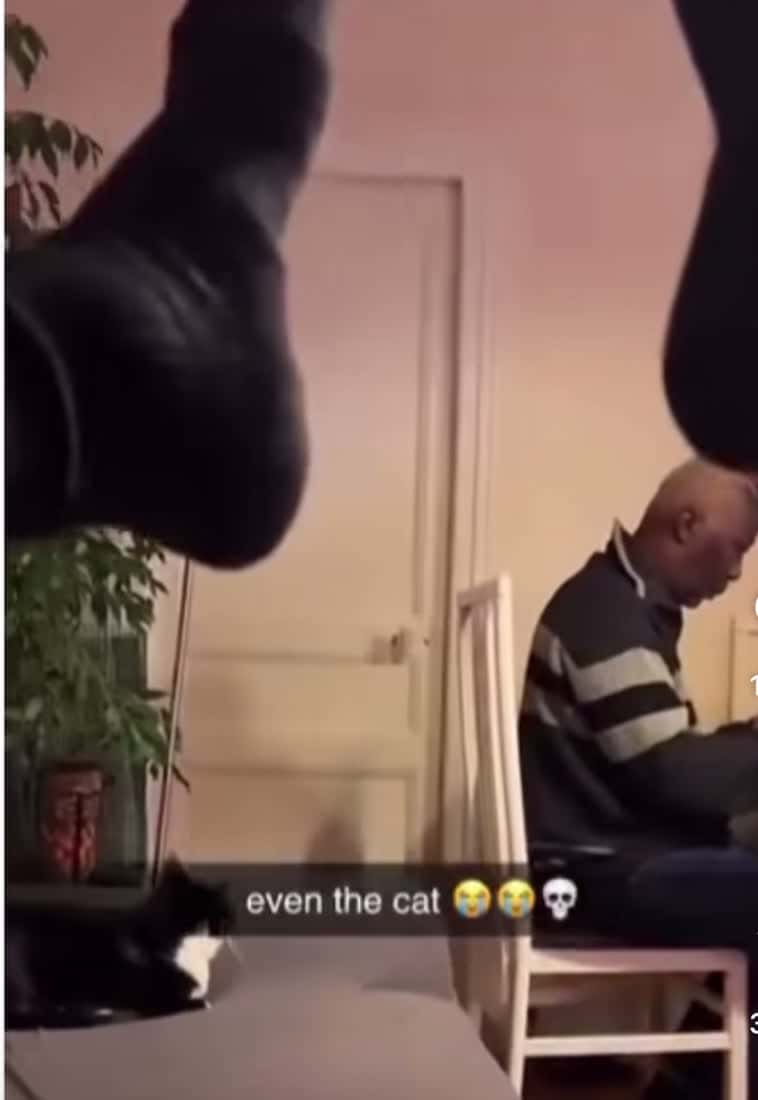 Cover for The cat even look😂