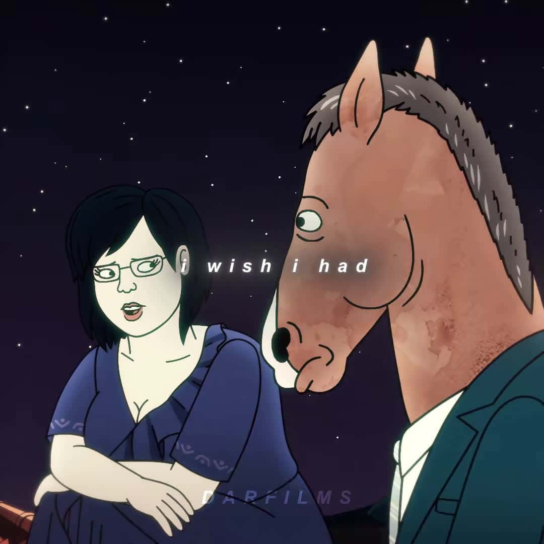 Cover for You didn’t pick up… || Bojack Horseman edit || #bojackhorseman #bojackhorsemanedit #dianenguyen #whiteferrari #frankocean #fyp CC:@Thano