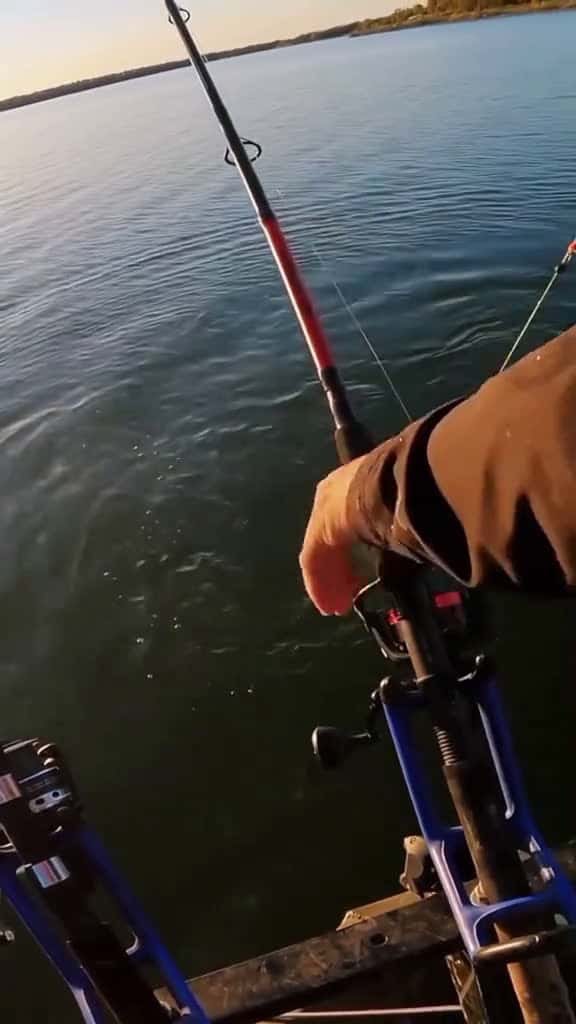 Cover for fishing amazingfishing fishingadventure fishinglife fishes bigfish fisherman amazingfishin 44586 #american