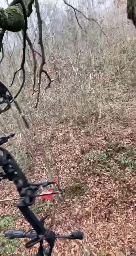 Cover for That’s a season wrap! What a shot! 😳🏹 #bowhunting #deerseason #archery #hunting