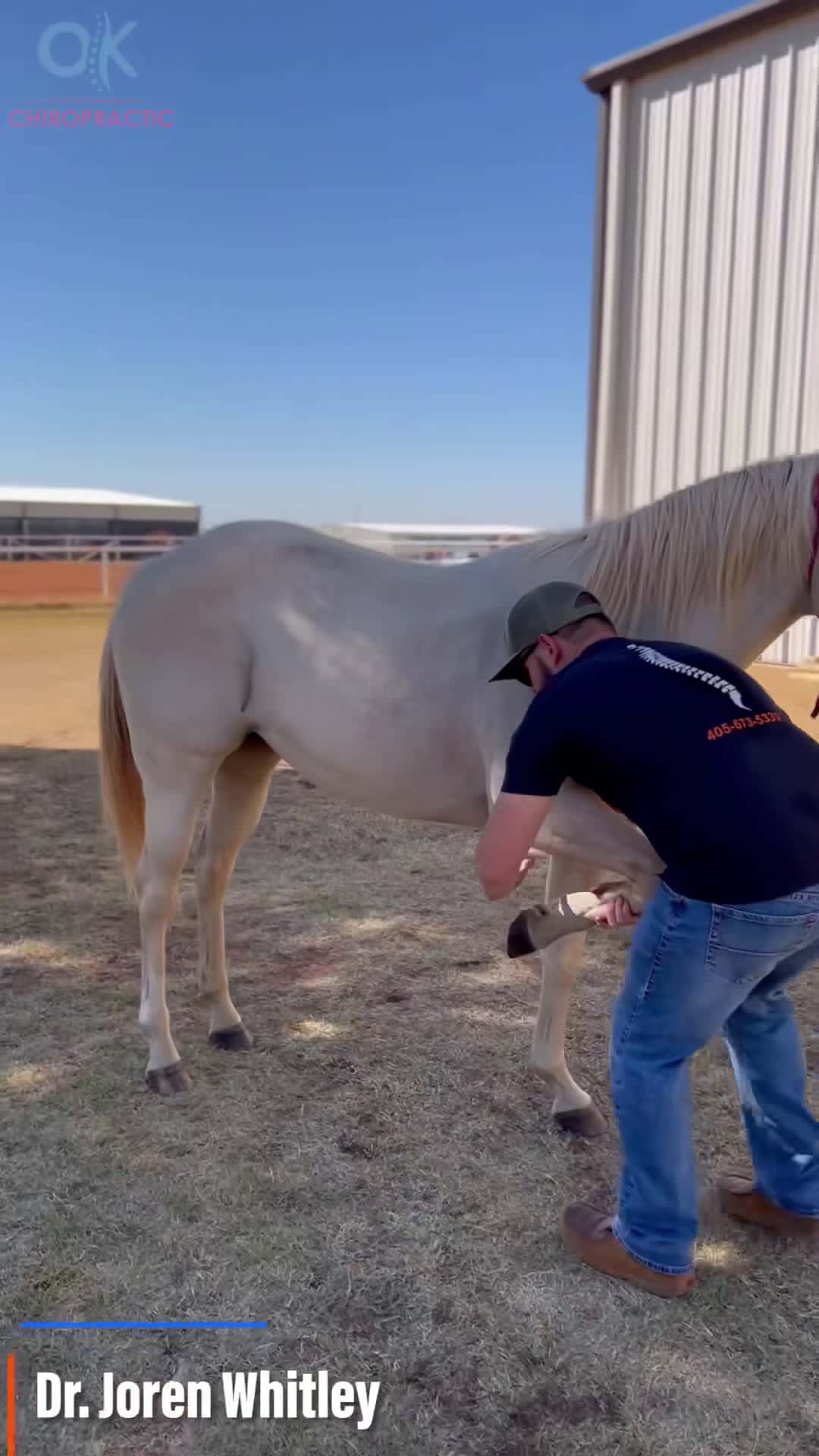 Cover for C R U N C H Y horse adjustment! I know this horse was feeling better ...