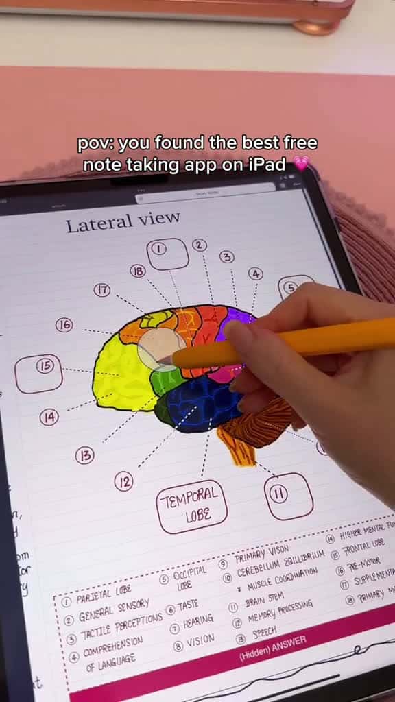 Cover for You NEED to try this app on your iPad  using my digital planner in noteful  ipad  05568 #america