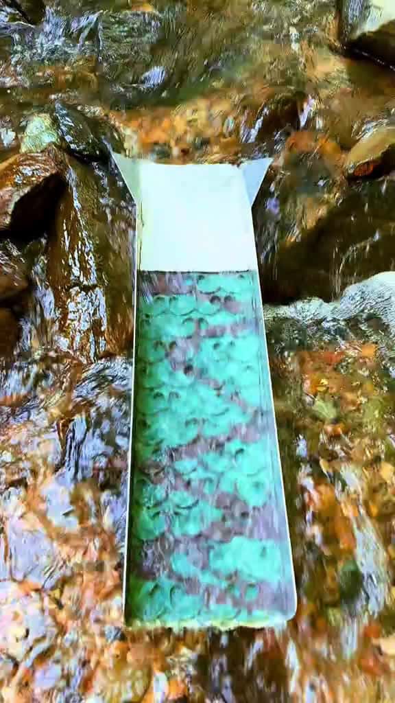 Cover for Gold in flaky bedrock??? #gold #goldmining #goldprospecting  created by Mini prospector with Mini prospector’s original sound - Mini prospector