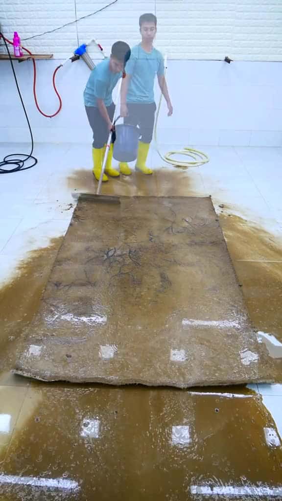 Cover for Rug Used In A BBQ Area Satisfying Carpet Cleaning Video shorts satisfying soclean carpetcl 67792 #shortvideos