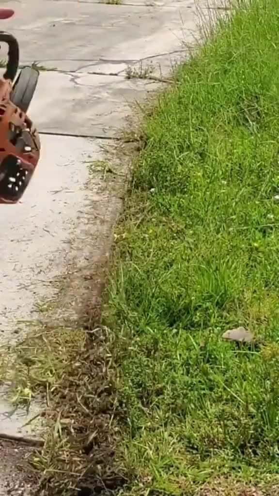 Cover for Ultimate Cleaning Lawn Care ASMR So Satisfying You ll Want to Clean uncloggingdrains cutti 49579 #ilovescoopz