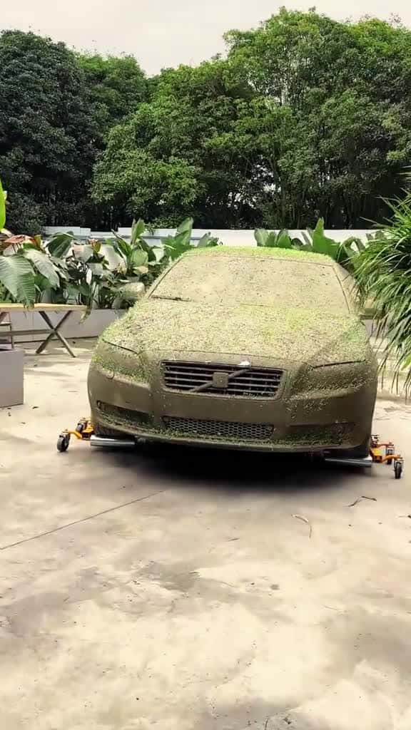Cover for carwash carwashing cardetailing carcleaning satisfyingvideo wash clean fyp asmr washing cl 17726 #trend