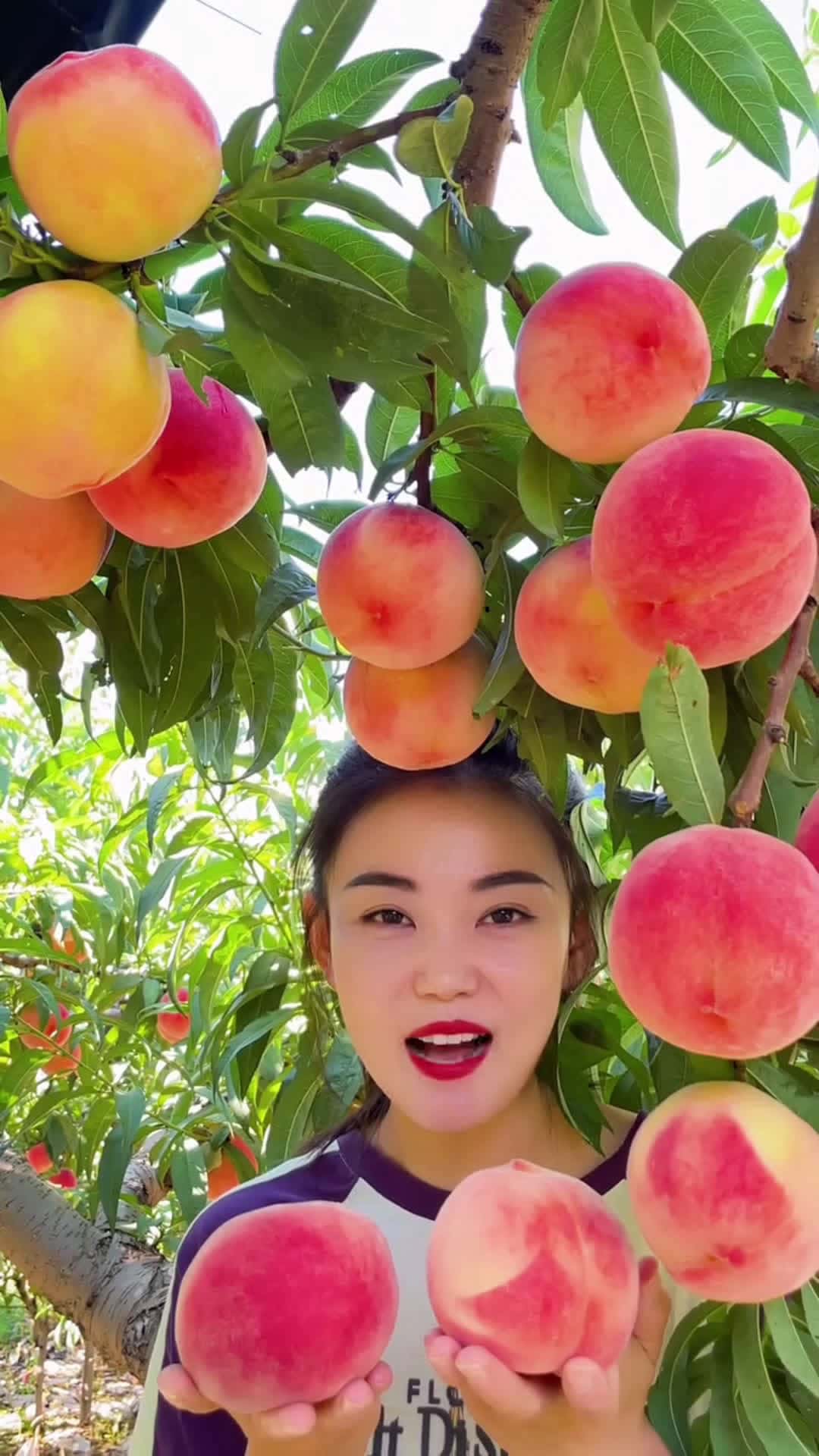 Cover for Fruit 🍑