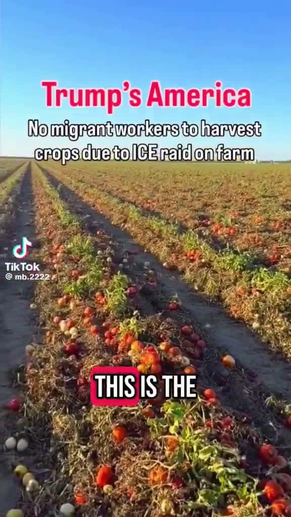 Cover for Oh look, and MAGA isn’t jumping in to pick up these high-paying, good benefit jobs like they said “illegals were stealing!” 😬🤔