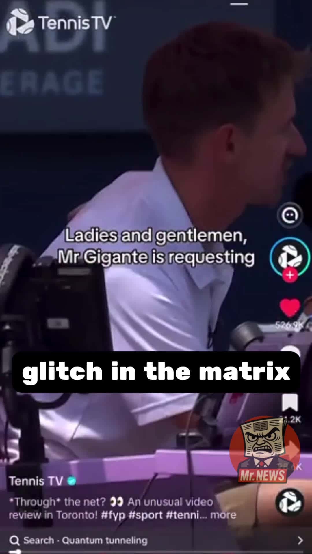 Cover for Tennis ball glitches through the net.