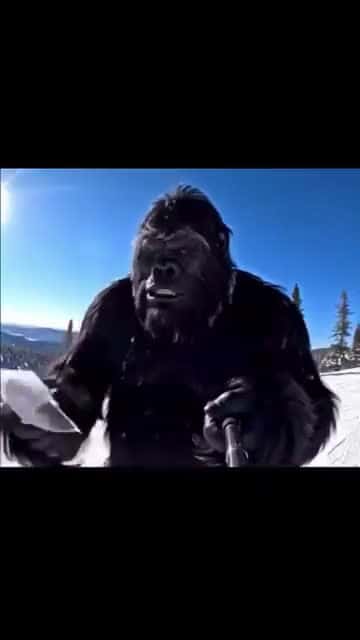 Cover for #yeti #Bigfoot #tiktok #fyp #funny  created by RevHavok with RevHavok’s original sound