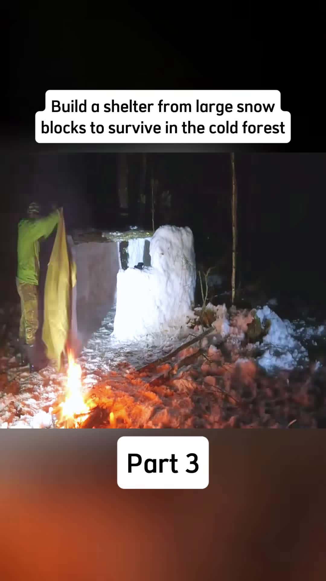 Cover for Part 3 #bushcraft #build #building #outdoors #camping #solocamping #survival #survivalskills #skills #shelter #fyp