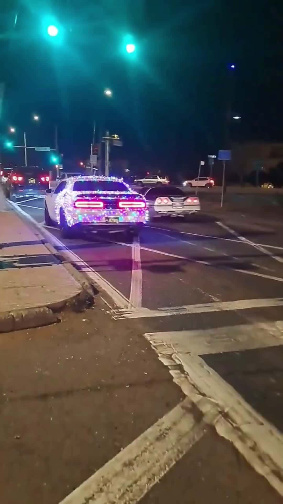 Cover for Chistmas Lights on  a car?