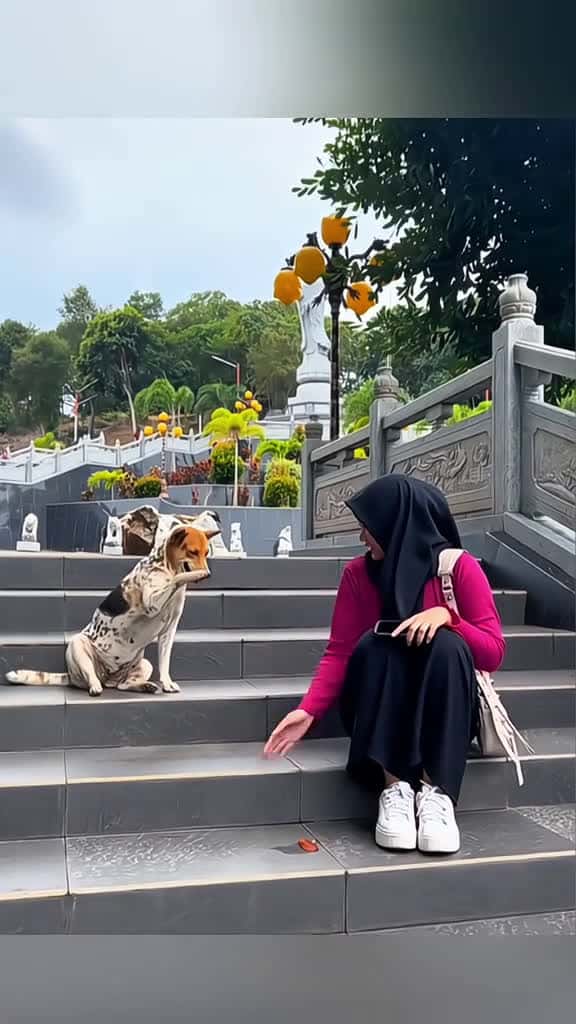 Cover for #pawzofturi #pawzofturilaughs #pawzofturipets #pawzofturicomedy #lolwithpawzofturi #pawzofturimoments #funnypawzofturi #gafunnypets #petfails #petcomedy #funnyfurballs #dogsofscoopz #catsofscoopz #gaturi 