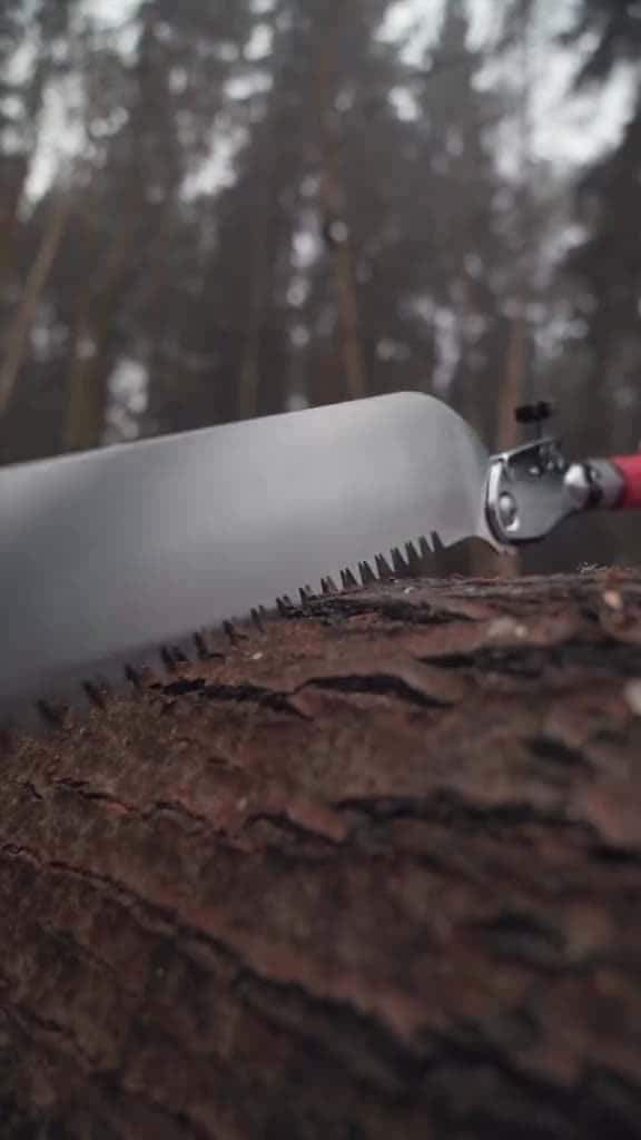 Cover for This guy handmakes his camp furniture 🔨😱 Definetly not your typical survival setup but very cool! Could you build something similar?  #survival #bushcraft #survivalhack #survivalhacks #lifehack #outdoors #camping #selfreliance #survivalist #handmadefurniture #handmade #bushcraft #viral #fyp #foryou #wildlife #outdoors #survivalgear #survivaltips #nature #naturelovers #furniture #furnituredesign