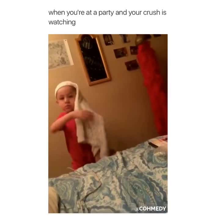 Cover for The End 🤣🤣 #funny #funnyvideos #animals #dog #cat #pet #viarl #foryou #fyp (1087)