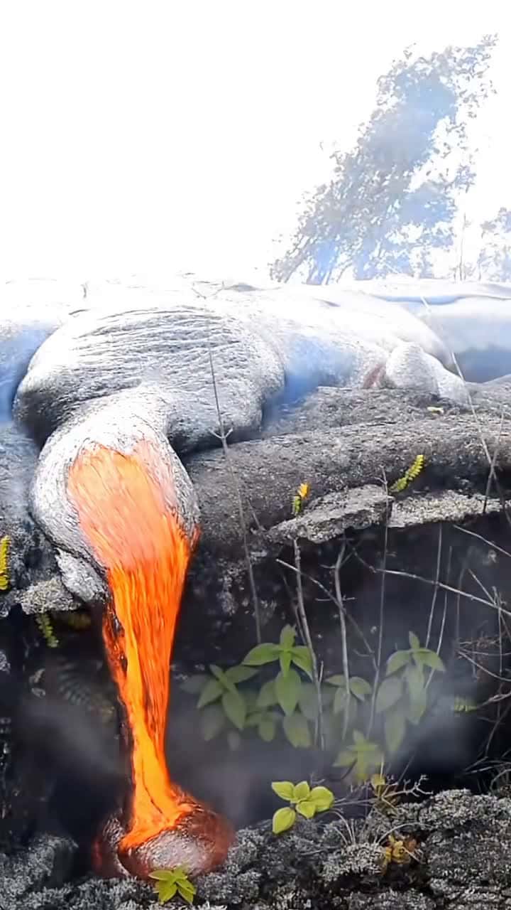 Cover for #hawaii #lava #volcanoeruption 🌋