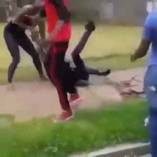 Cover for Fight Ends With All Her Braids Gone😳😭