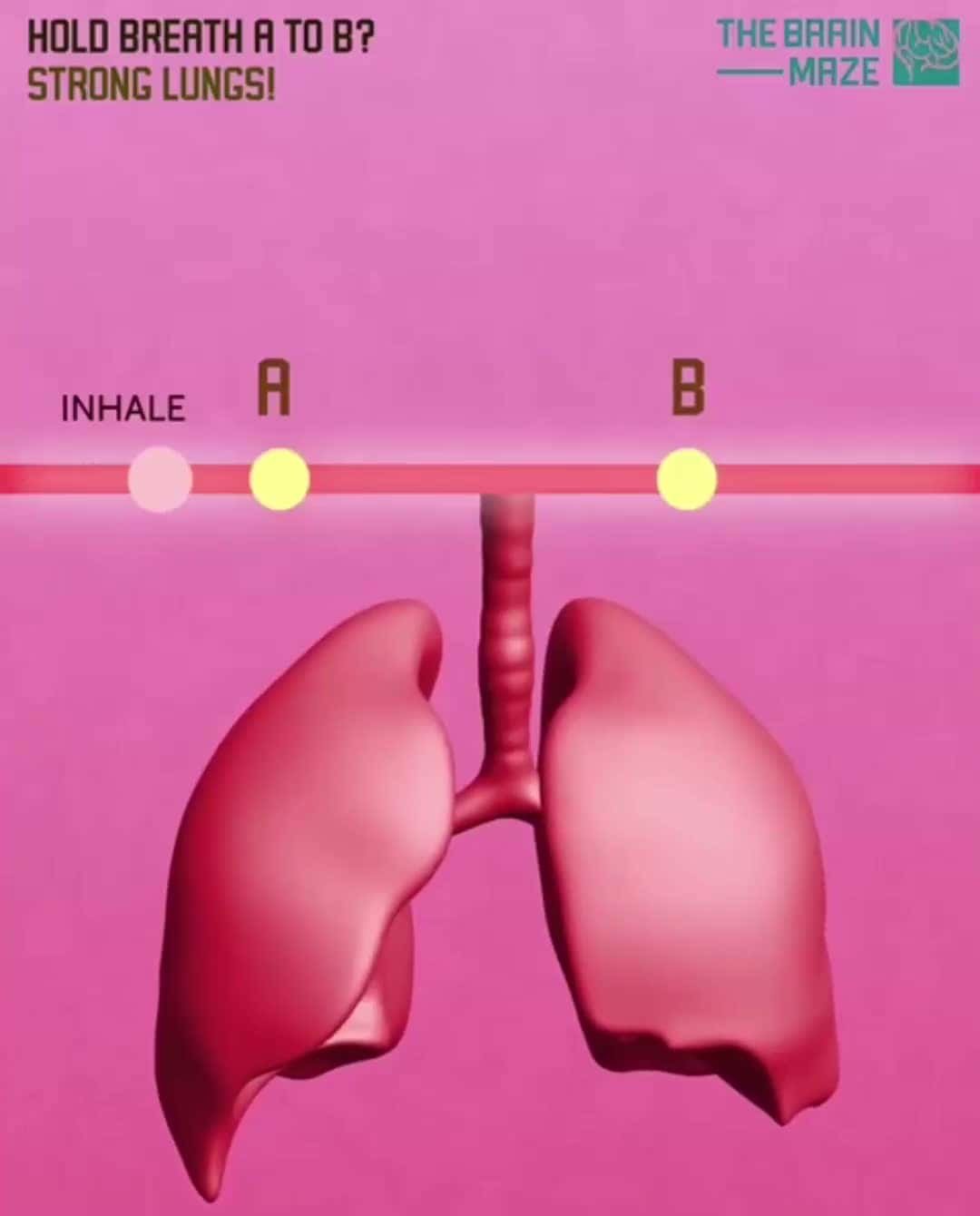 Cover for Test your lung strength 