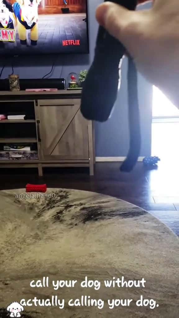 Cover for Testing my dog s hearing... turns out it has supersonic ears doghearingtest foryou fyp fun 54270 #nicevideo