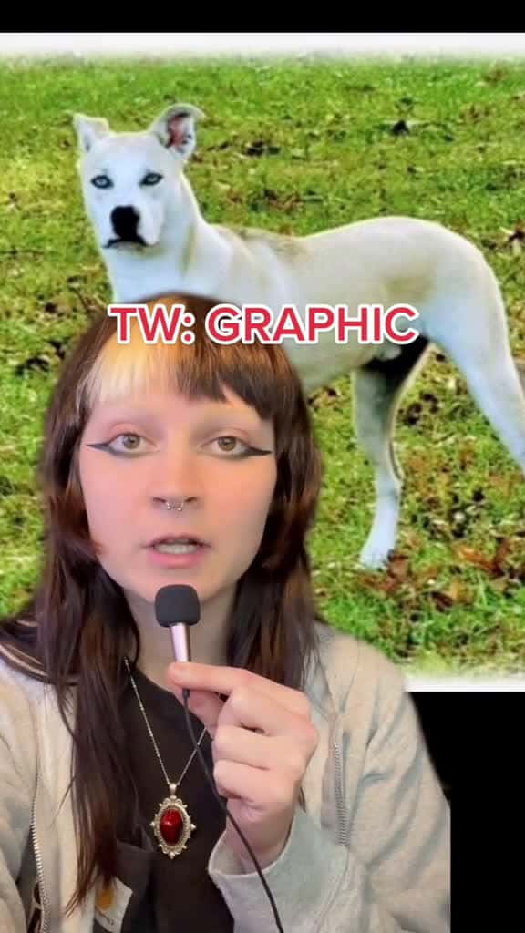 Cover for There's an active 'dog serial killer' in Parsons, Arkansas. #dogs #serialkiller #wtf #arkansas #foryou