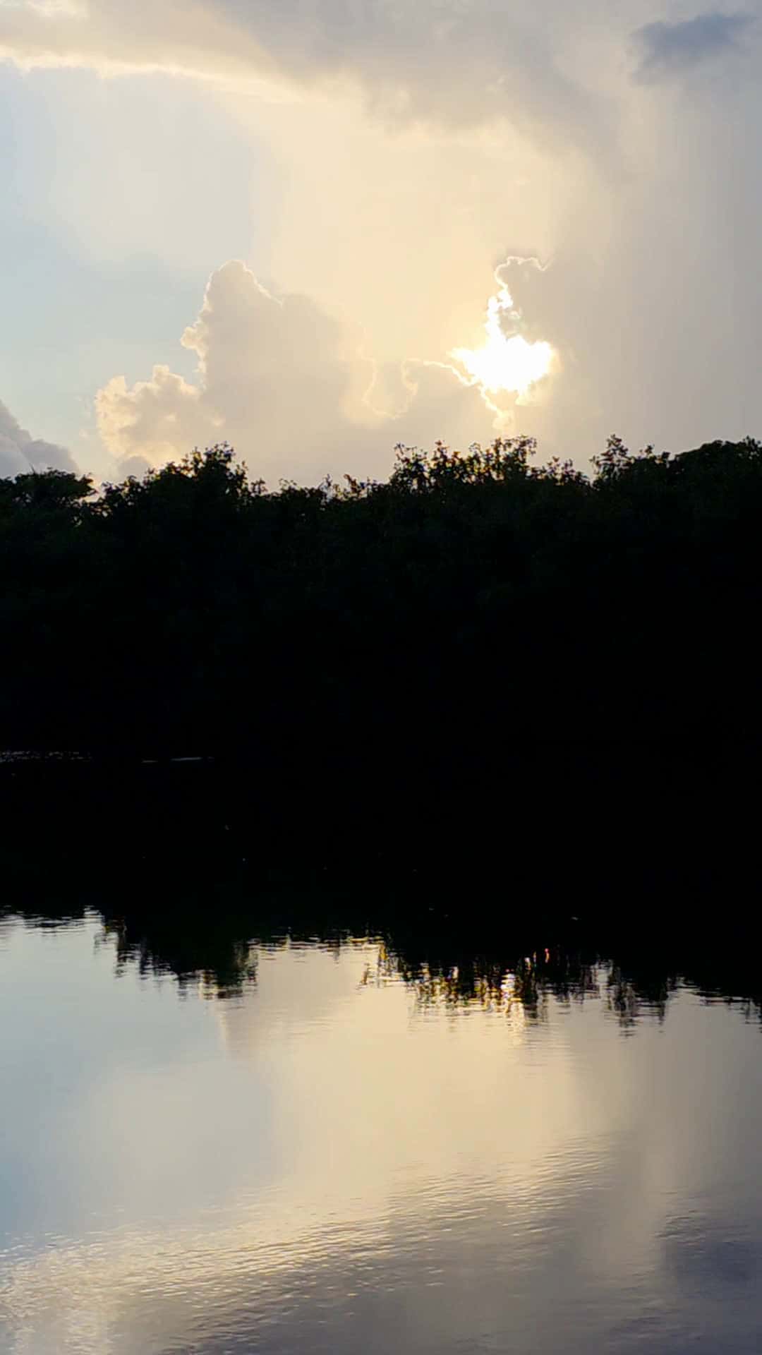Cover for This Evenigs Sunset.