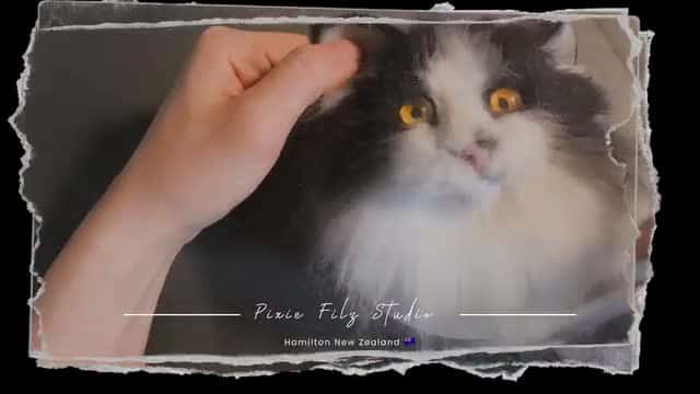 Cover for In the needle felt process#nz #auckland #needlefelting #feltartwork #woolsculptures ##toypoodle #nz #hamilton #Pets#Artists#needlefeltingartist #petcommunity #pets #needlefelt