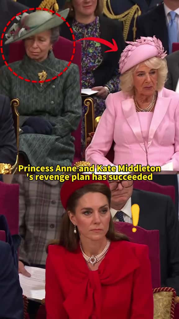 Cover for Princess Anne and Kate Middletons revenge plan has succeeded Camilla is about to  66558 #ilovescoopz