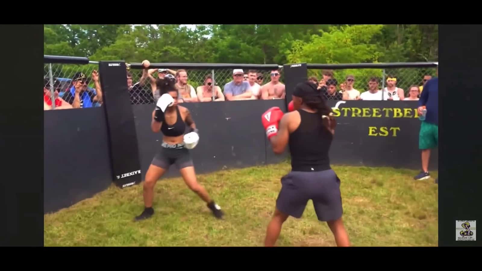 Cover for W female Street beef pt1🥊 #fightcam  #viral  #fight #fightcam