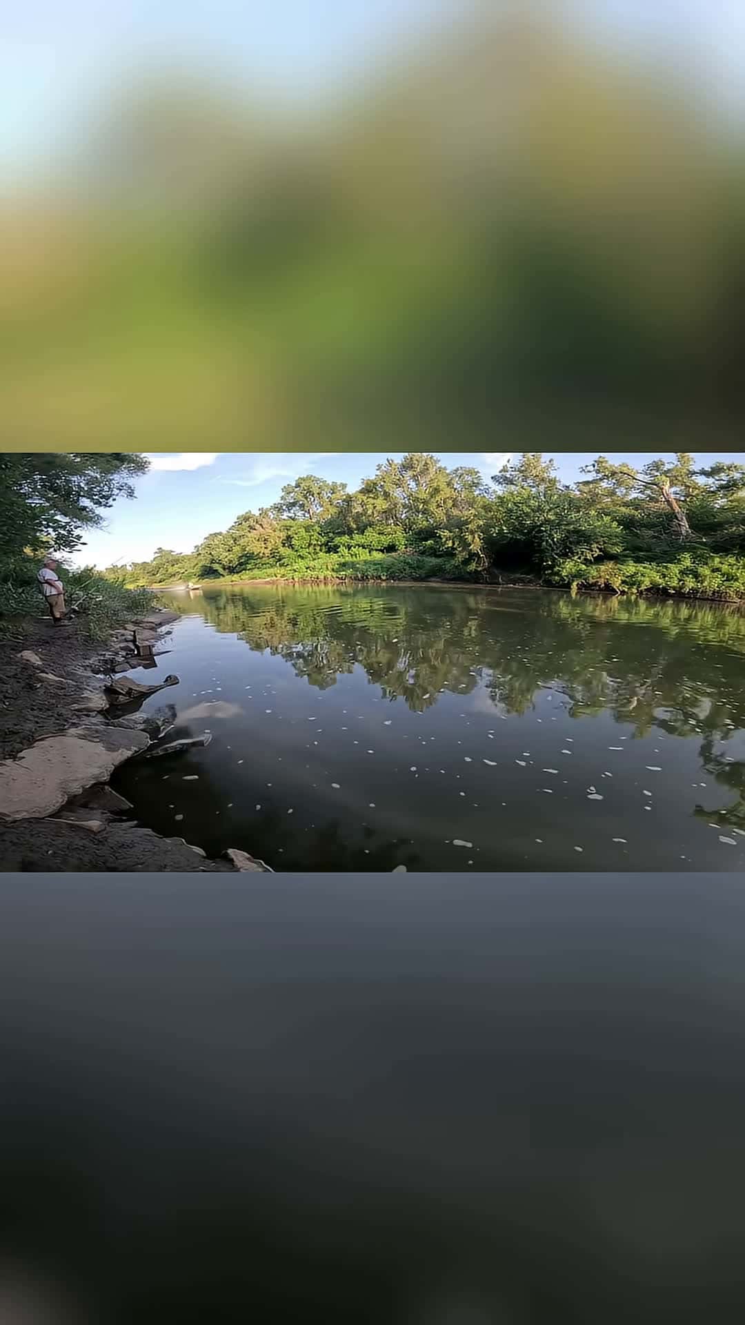 Cover for Ive Never Seen A Boat On This Creek I got excited