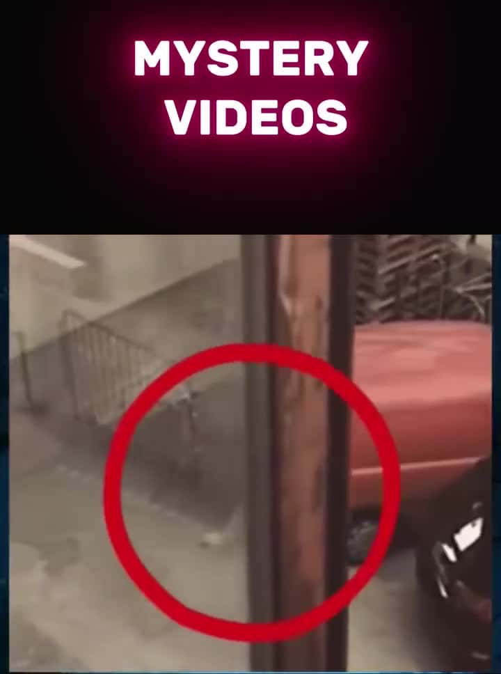Cover for mysterious videos must be seen to believe