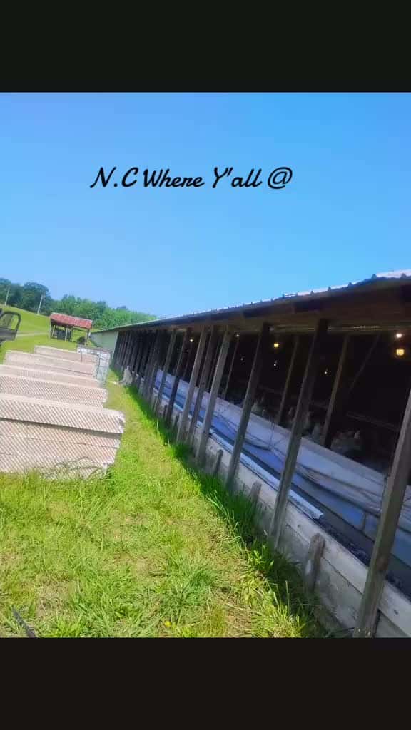 Cover for #nc #country #farmtok #realcountry  created by 🤠C@R0LiÑA🇺🇸🩵🇲🇽ᏣᎾᏔb0Y🤠 with Montgomery Gentry’s What Do Ya Think About That