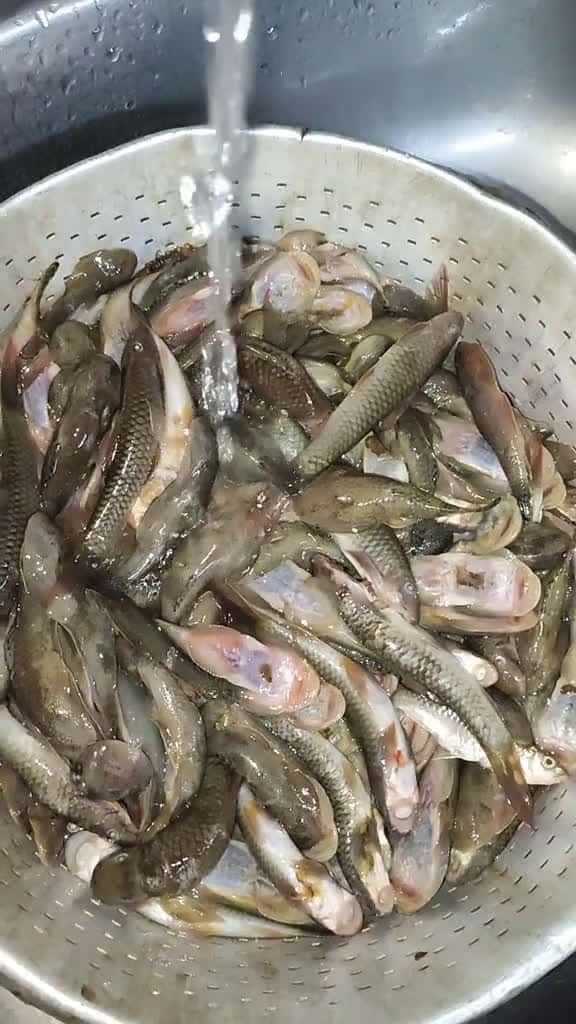 Cover for Rokot rangup fyp kerjasendiri makanmakan masak foodhunter makananlokal ikansungai 09499 #american