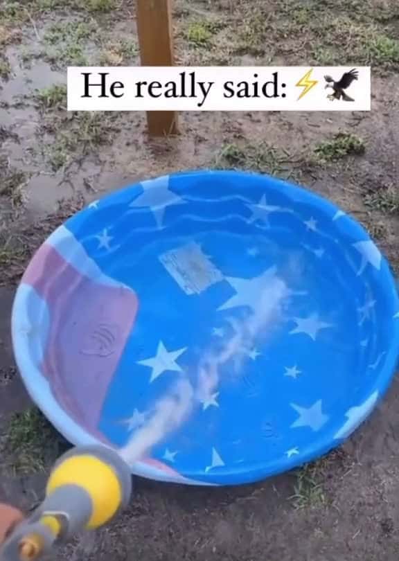 Cover for #dog #dogs #dogsoftiktok # # #fun #funnyvideos #foryoupage #follower #animals #water #fast #zoom