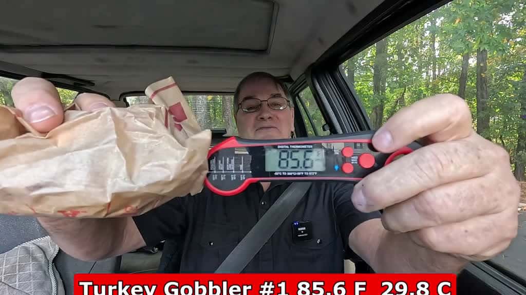 Cover for Arby s New Deep Fried Turkey Gobbler Sandwich Review Joe is Hungry For full Youtbube Versi 64266 #trending
