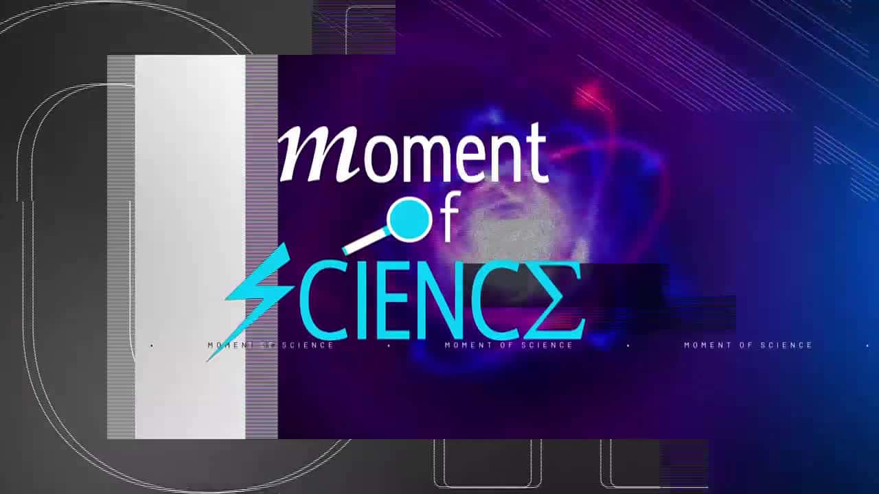 Cover for Moment of Science: Tides