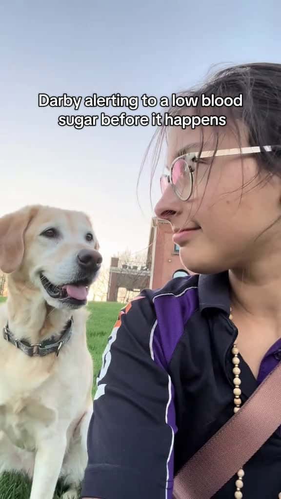 Cover for alertdogdarby diabeticalertdog 61134 #trending