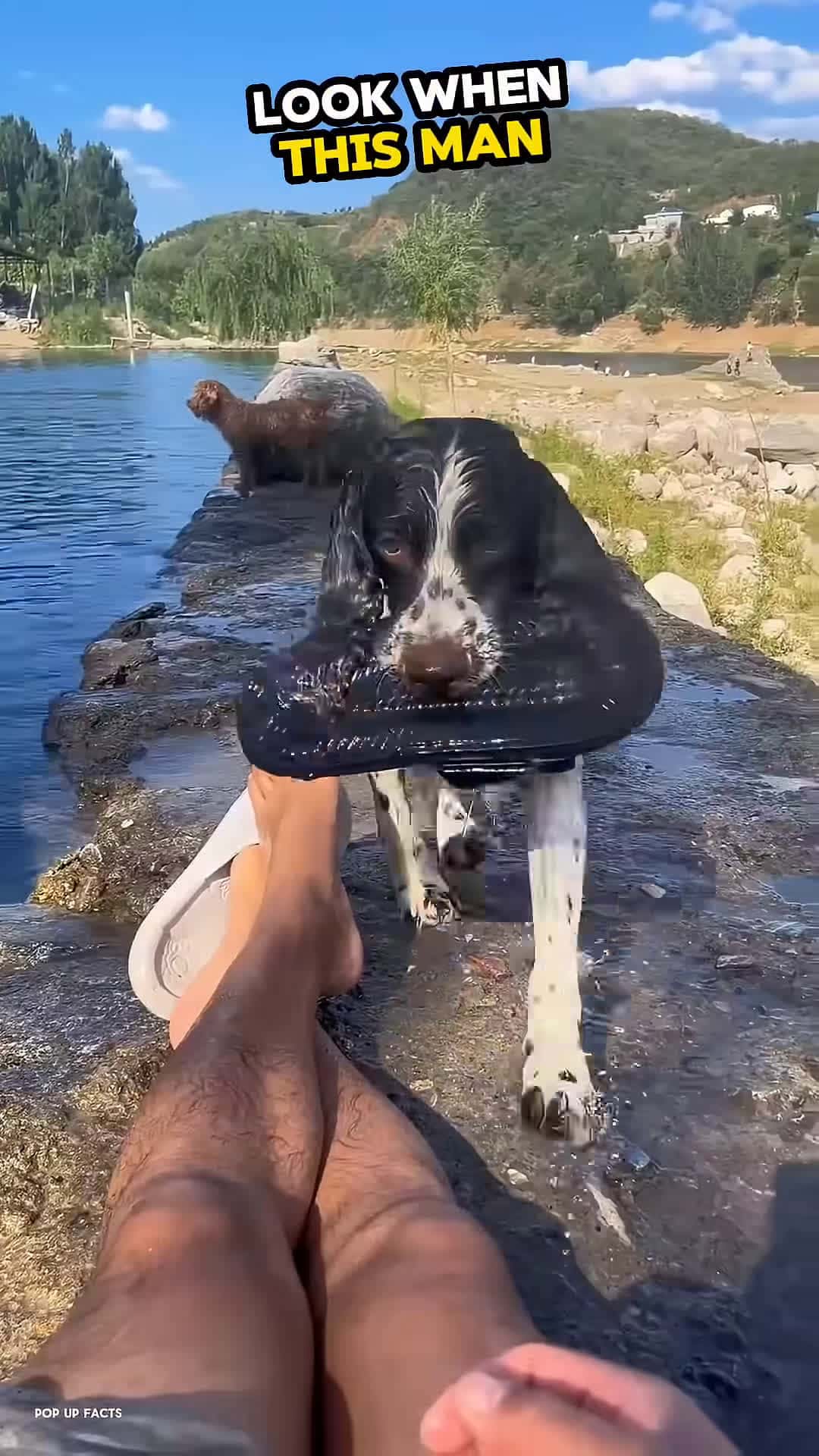 Cover for He Just Wanted to Play