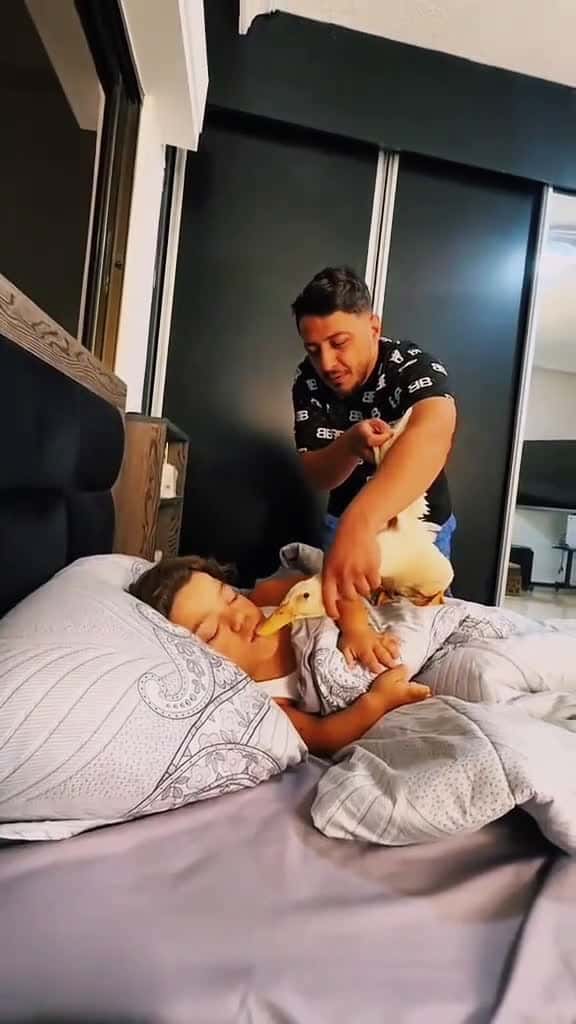Cover for 😂😂😂  #crazy #scarecam #scarepeople  #scareprank #prank #funny  #funnyprank #jumpscare #scaring  #jumpy #viral #haha #trending  #fyp  created by Crazy Prank with Crazy Prank’s original sound