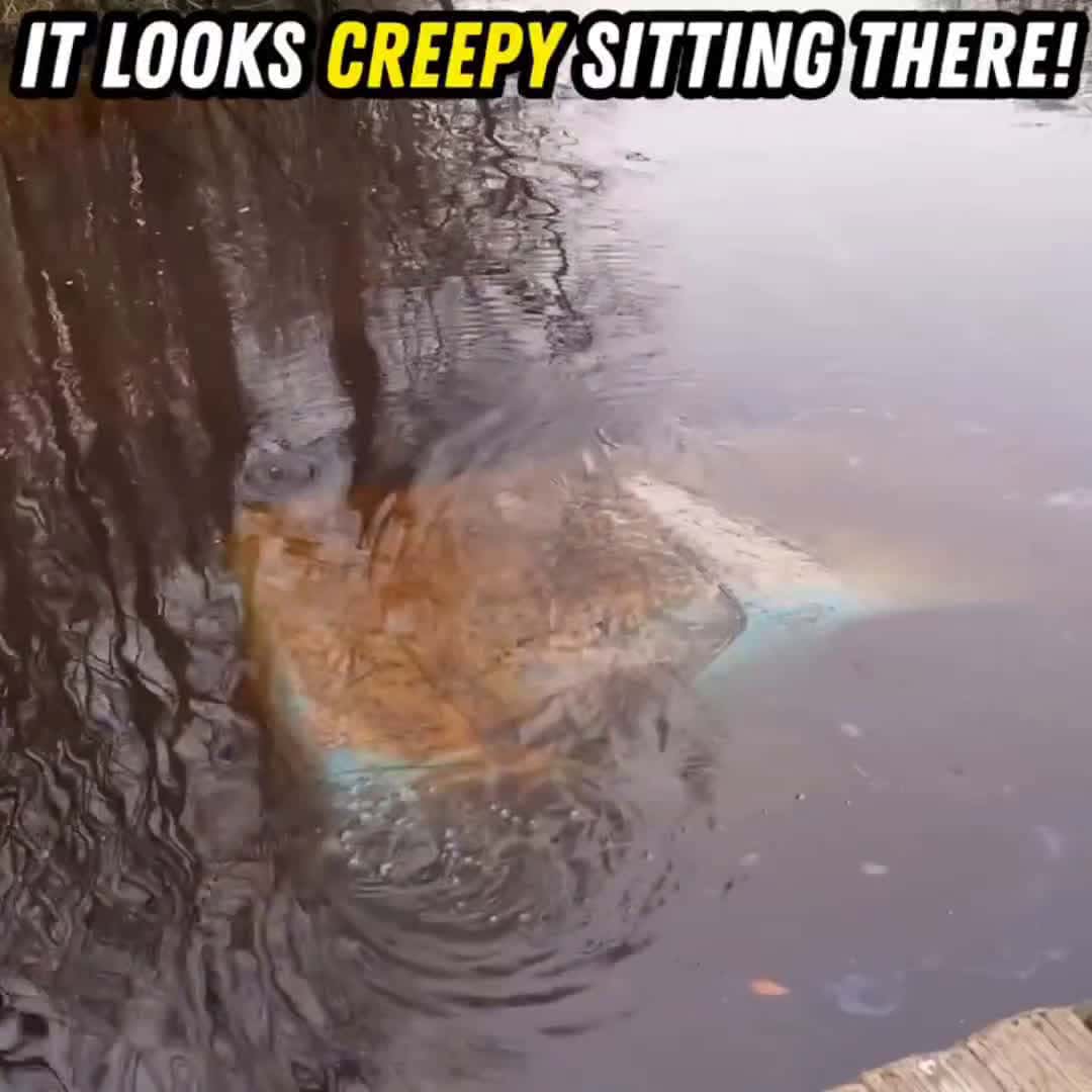 Cover for This looked eerie 😱