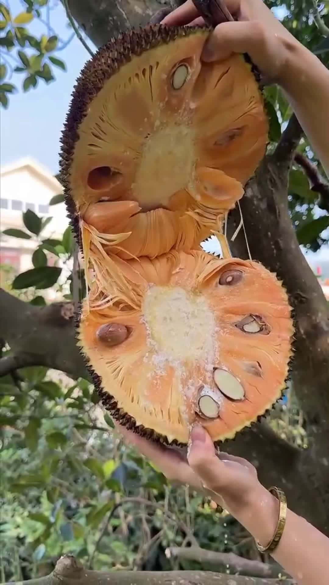 Cover for delicious fruit 