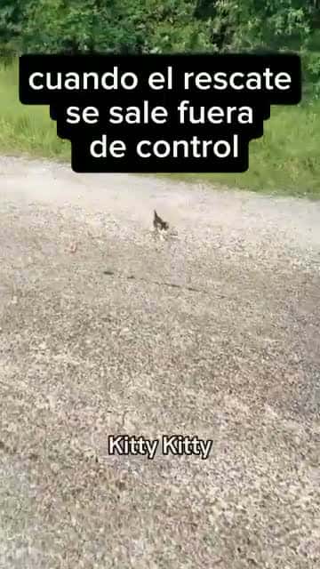 Cover for When the rescue goes out of control