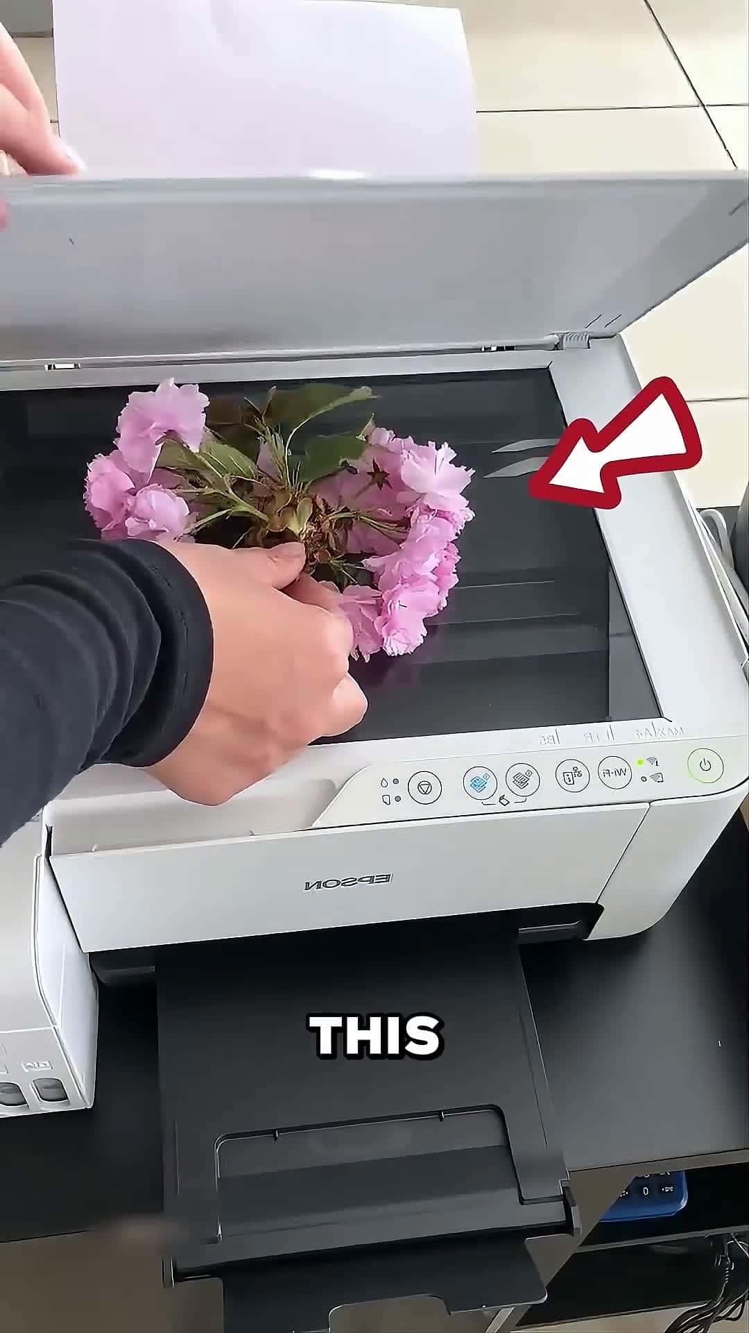 Cover for She Placed A Flower In A Printing Machine 😮 