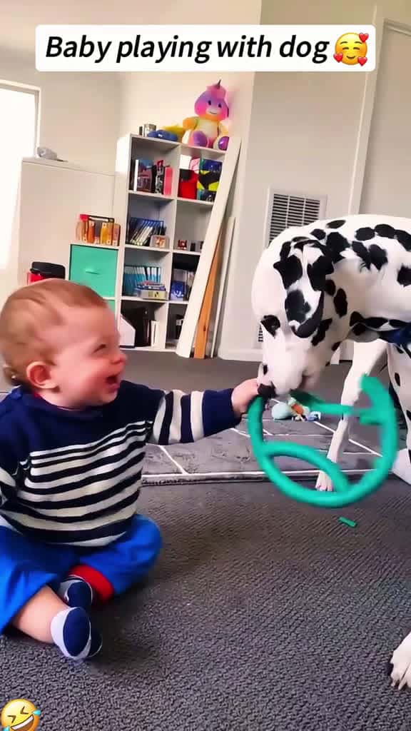 Cover for Baby playing with dog baby fyp Foryou Tiktok usa cute cutebaby cutekidvideos fyp funnyvide 83039 #shortvideos