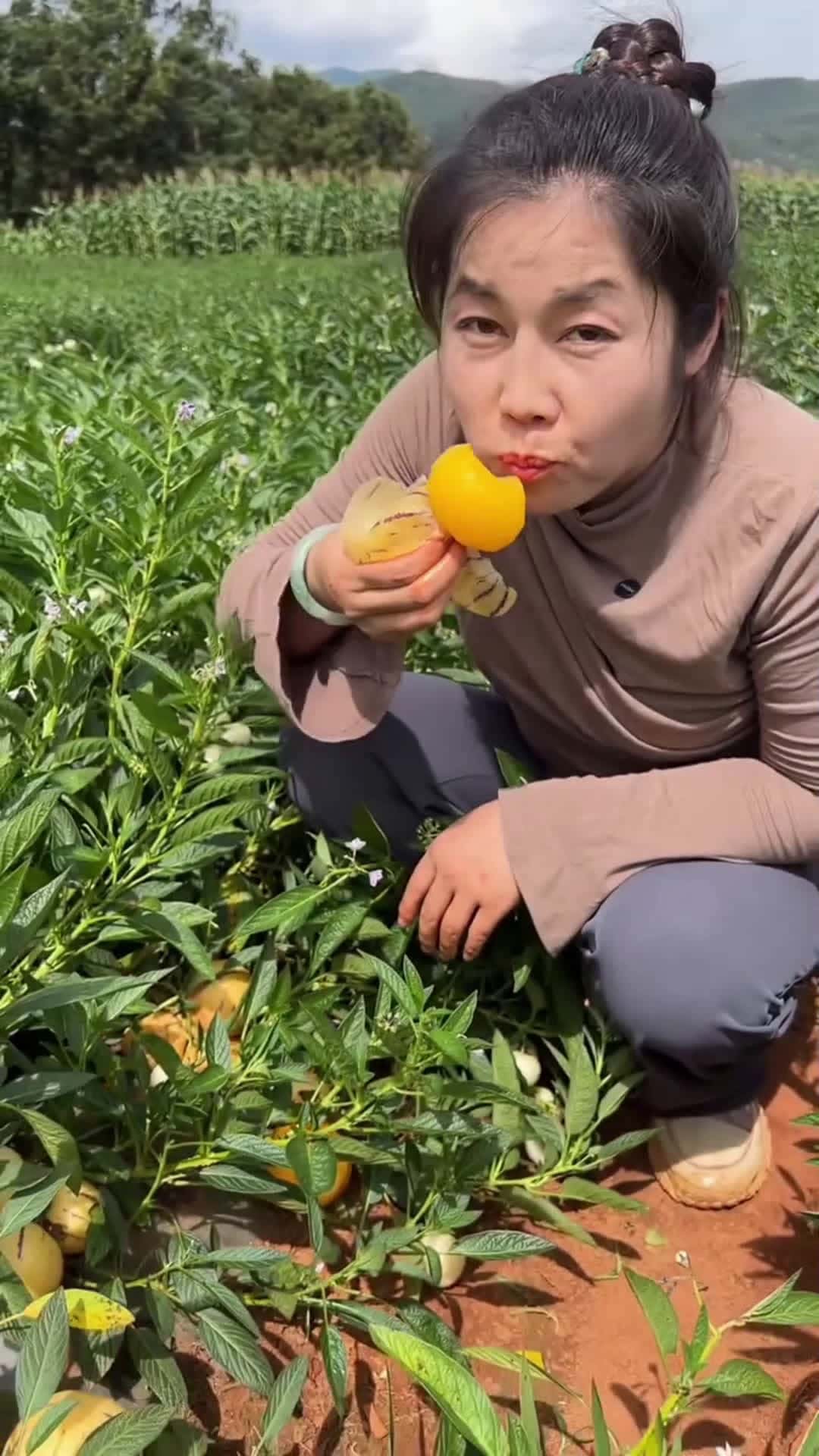 Cover for Eating  fruit 🍑
