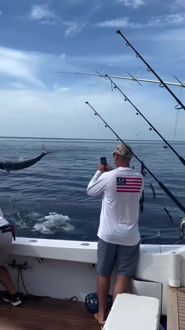 Cover for Fish came out to eat human 😳